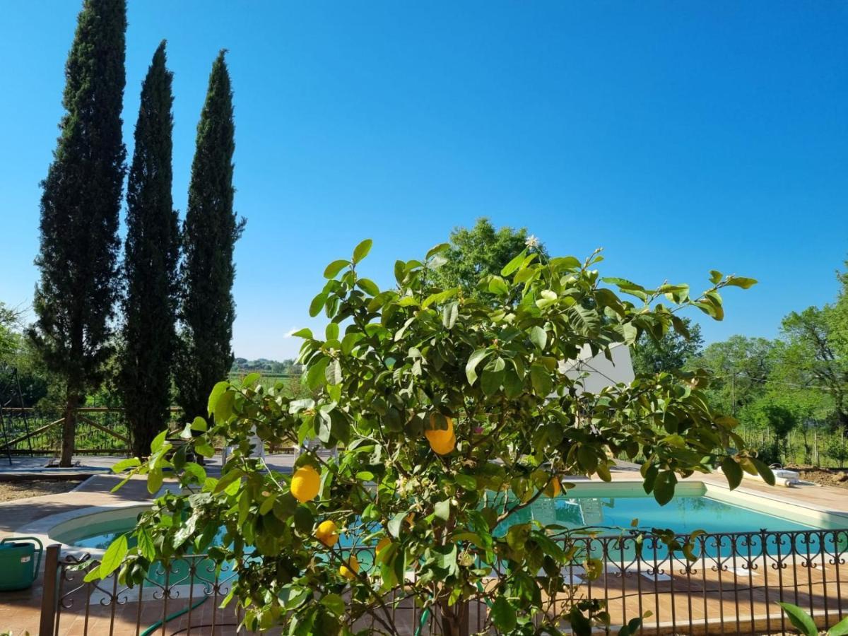 Fornace Del Conte Abbadia di Montepulciano Exterior foto