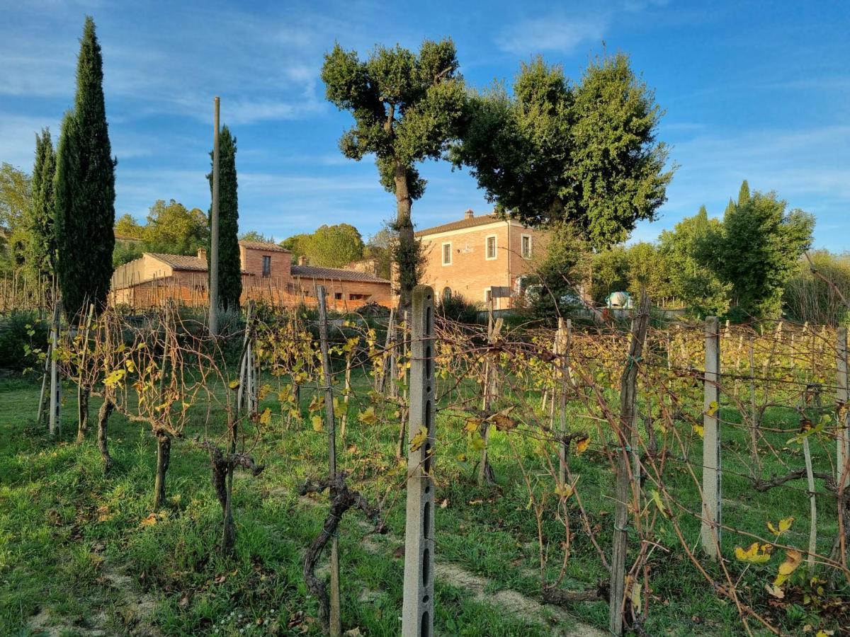 Fornace Del Conte Abbadia di Montepulciano Exterior foto