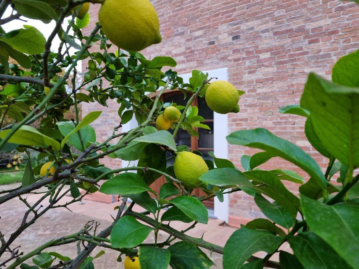 Fornace Del Conte Abbadia di Montepulciano Exterior foto