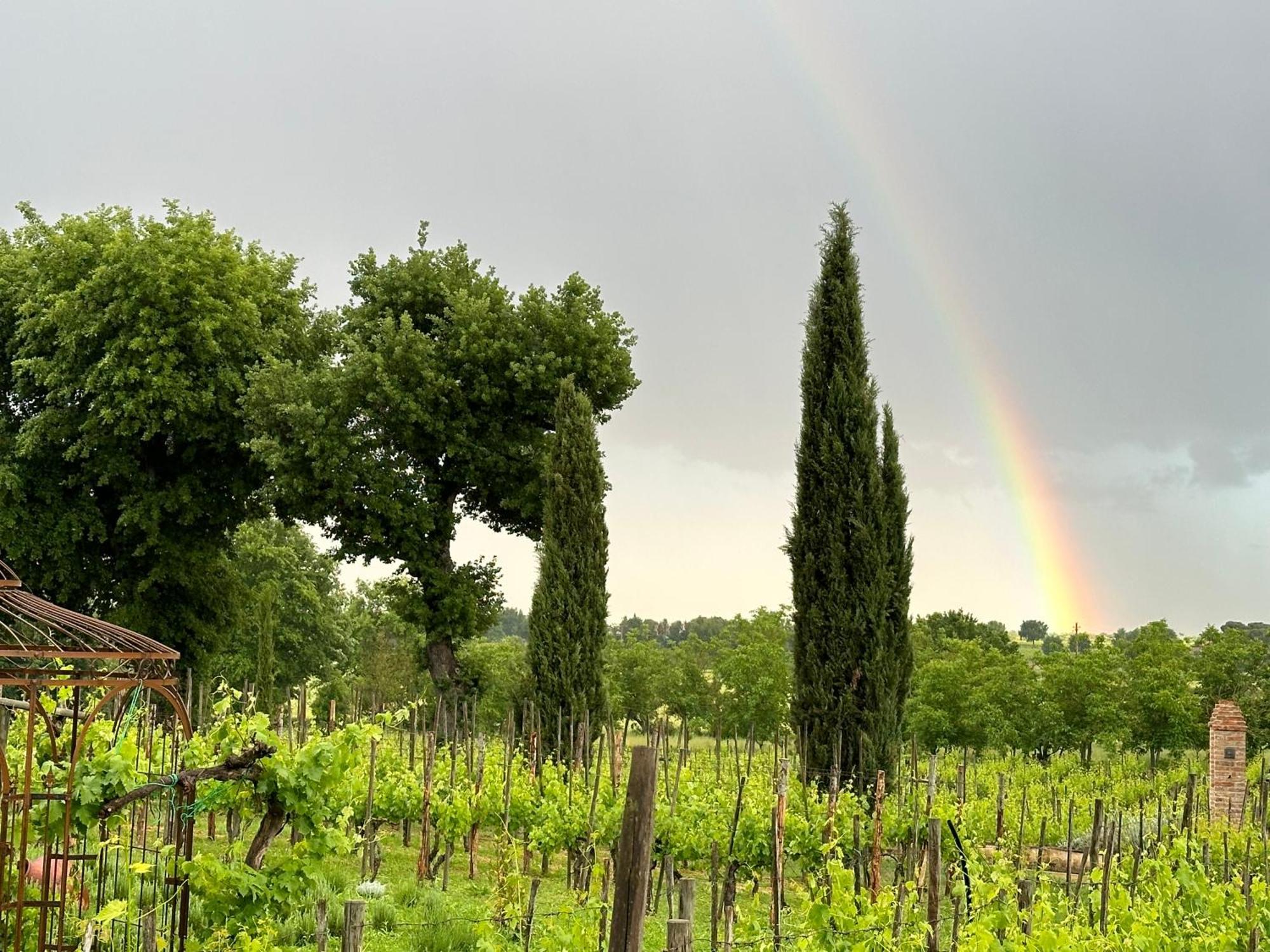 Fornace Del Conte Abbadia di Montepulciano Exterior foto