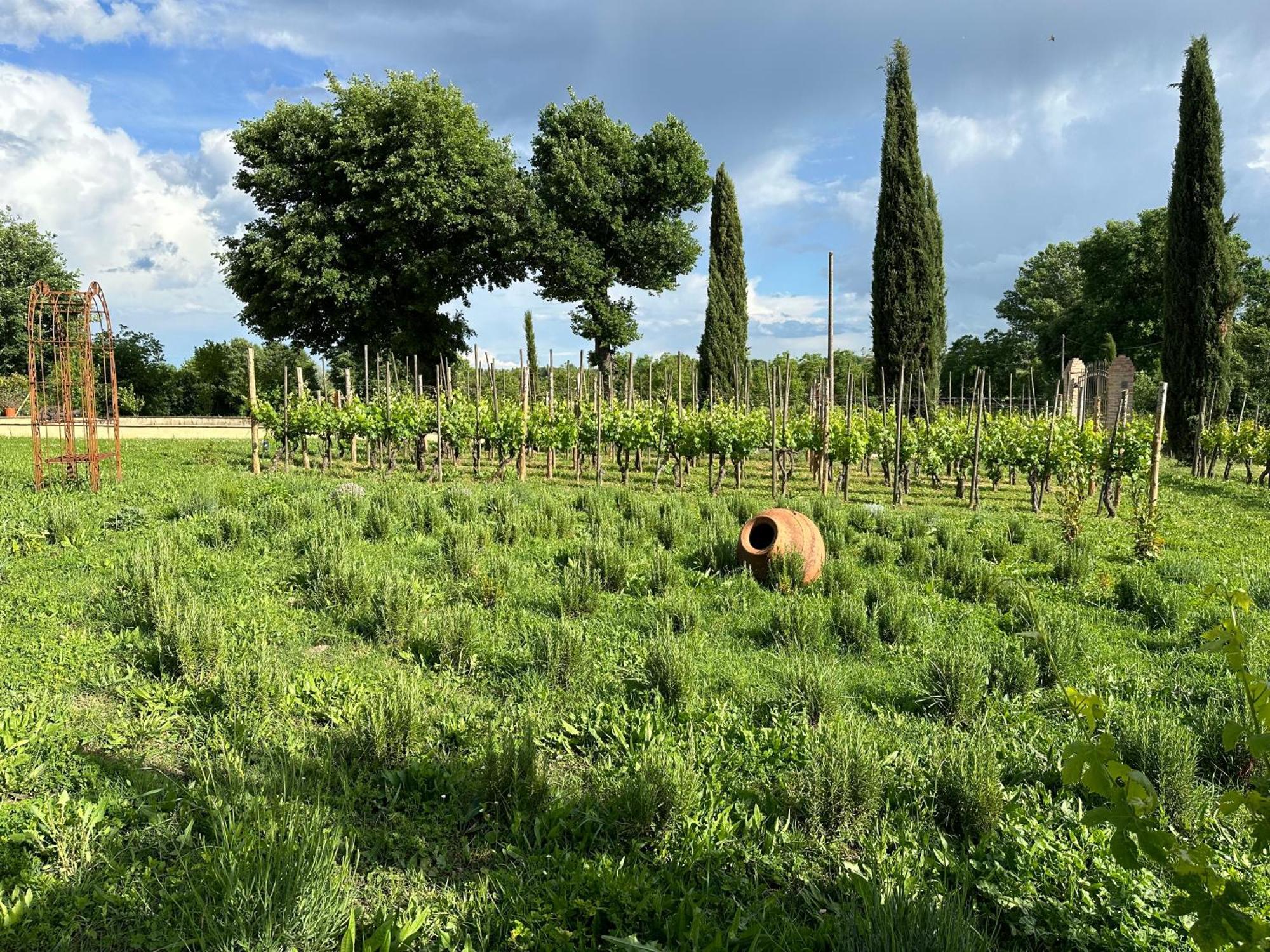 Fornace Del Conte Abbadia di Montepulciano Exterior foto