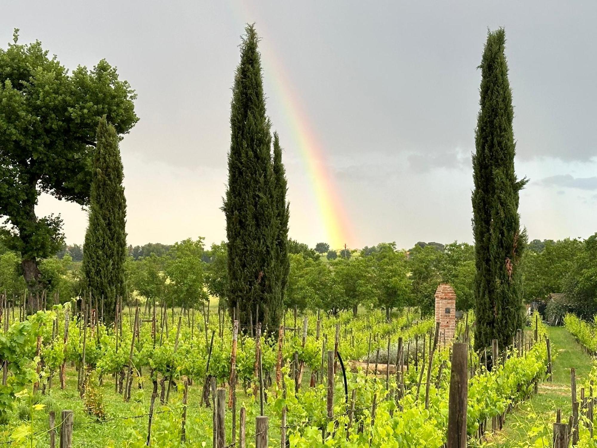 Fornace Del Conte Abbadia di Montepulciano Exterior foto