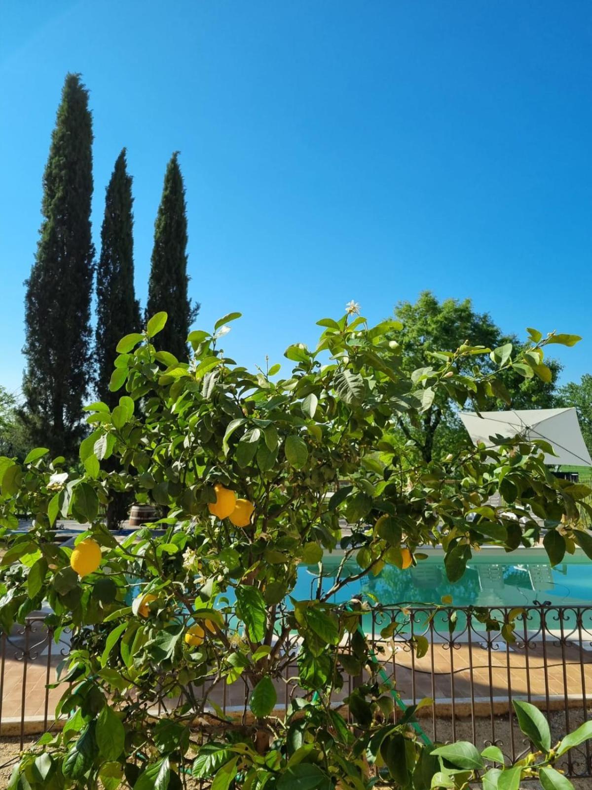 Fornace Del Conte Abbadia di Montepulciano Exterior foto